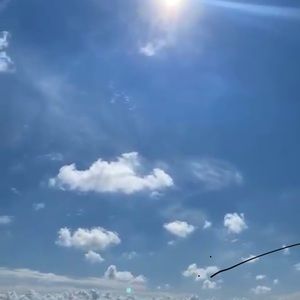 Meet your Posher, Anne